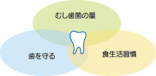 虫歯のメカニズム